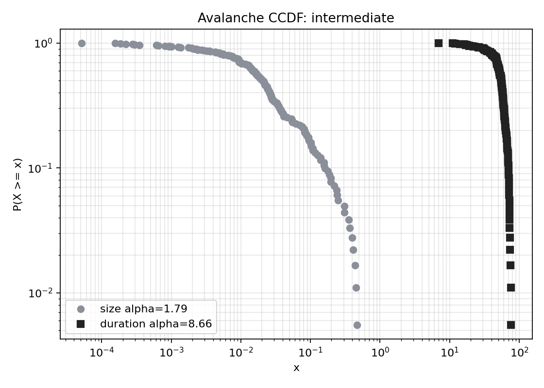 N体重力系の avalanche CCDF